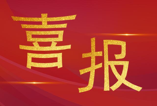 祝贺我司技术服务部工程师们荣获“电力运检之星“